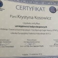 Powiększ obraz: certificate 1