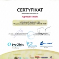 Powiększ obraz: certificate 7
