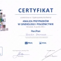 Powiększ obraz: certificate 19