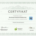 Powiększ obraz: certificate 1