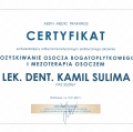 Powiększ obraz: certificate 43