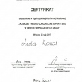Powiększ obraz: certificate 4