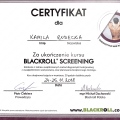 Powiększ obraz: certificate 21