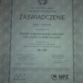 Powiększ obraz: certificate 35