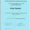 Powiększ obraz: certificate 10