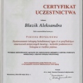 Powiększ obraz: certificate 5