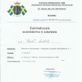 Powiększ obraz: certificate 12