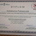 Powiększ obraz: certificate 8