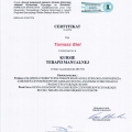 Powiększ obraz: certificate 6