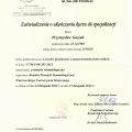 Powiększ obraz: certificate 3