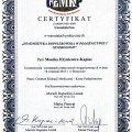 Powiększ obraz: certificate 9