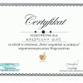 Powiększ obraz: certificate 25
