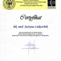 Powiększ obraz: certificate 5