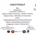 Powiększ obraz: certificate 10