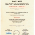 Powiększ obraz: certificate 1