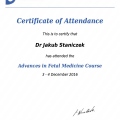 Powiększ obraz: certificate 22