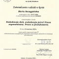 Powiększ obraz: certificate 4