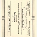 Powiększ obraz: certificate 1
