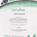 Powiększ obraz: certificate 1
