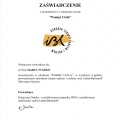 Powiększ obraz: certificate 16