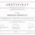 Powiększ obraz: certificate 17