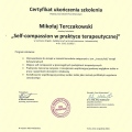Powiększ obraz: certificate 20