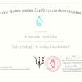 Powiększ obraz: certificate 3
