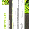 Powiększ obraz: certificate 6