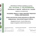 Powiększ obraz: certificate 38