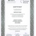 Powiększ obraz: certificate 19