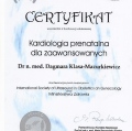 Powiększ obraz: certificate 19