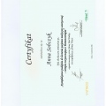 Powiększ obraz: certificate 2