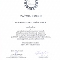 Powiększ obraz: certificate 3