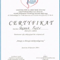 Powiększ obraz: certificate 14