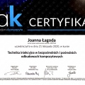 Powiększ obraz: certificate 13