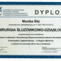 Powiększ obraz: certificate 4