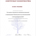 Powiększ obraz: certificate 4