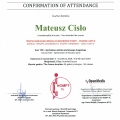 Powiększ obraz: certificate 21