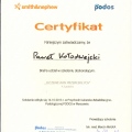 Powiększ obraz: certificate 11