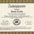 Powiększ obraz: certificate 8