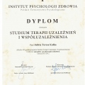 Powiększ obraz: certificate 10