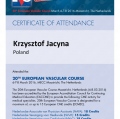 Powiększ obraz: certificate 2