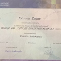 Powiększ obraz: certificate 3