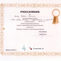 Powiększ obraz: certificate 8