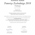 Powiększ obraz: certificate 17