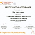 Powiększ obraz: certificate 37