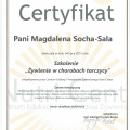Powiększ obraz: certificate 6