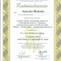 Powiększ obraz: certificate 8