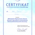 Powiększ obraz: certificate 6