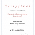 Powiększ obraz: certificate 1
